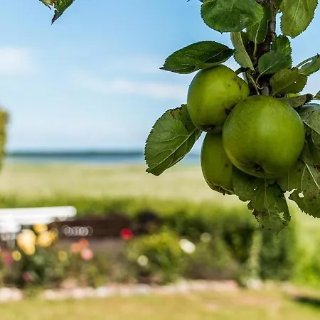 Haus Am Bodden 01 公寓