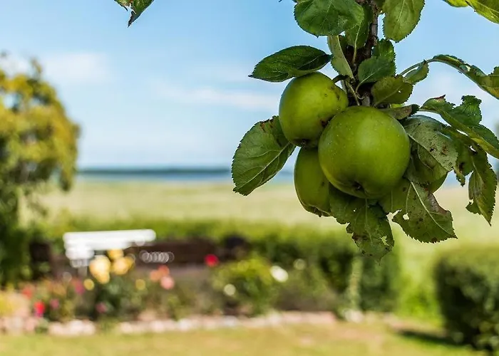 Haus Am Bodden 01 Apartment